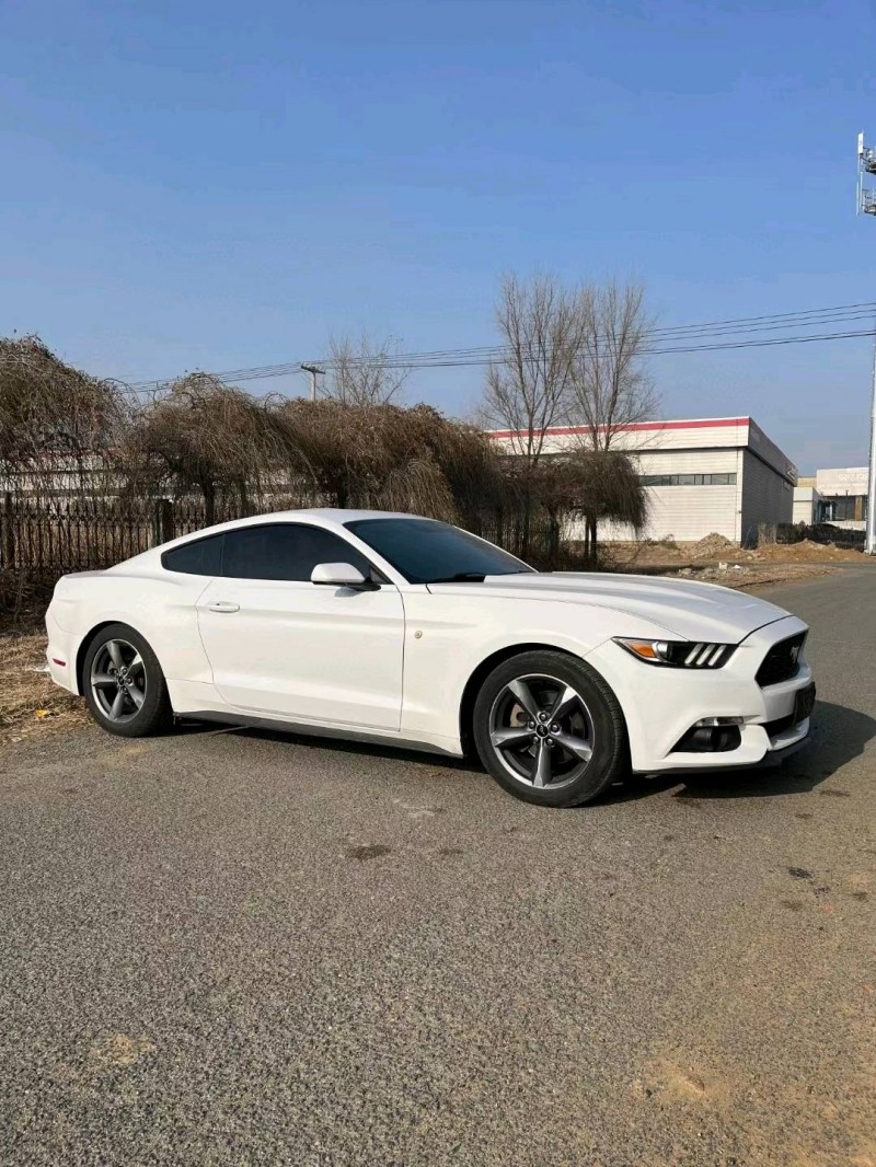 沈阳17年福特野马7