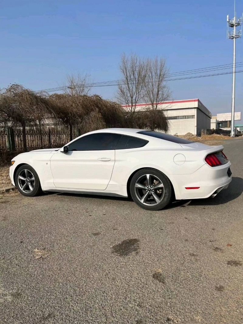 沈阳17年福特野马6