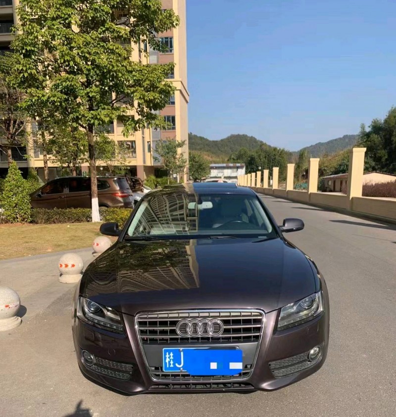 珠海12年奥迪A51