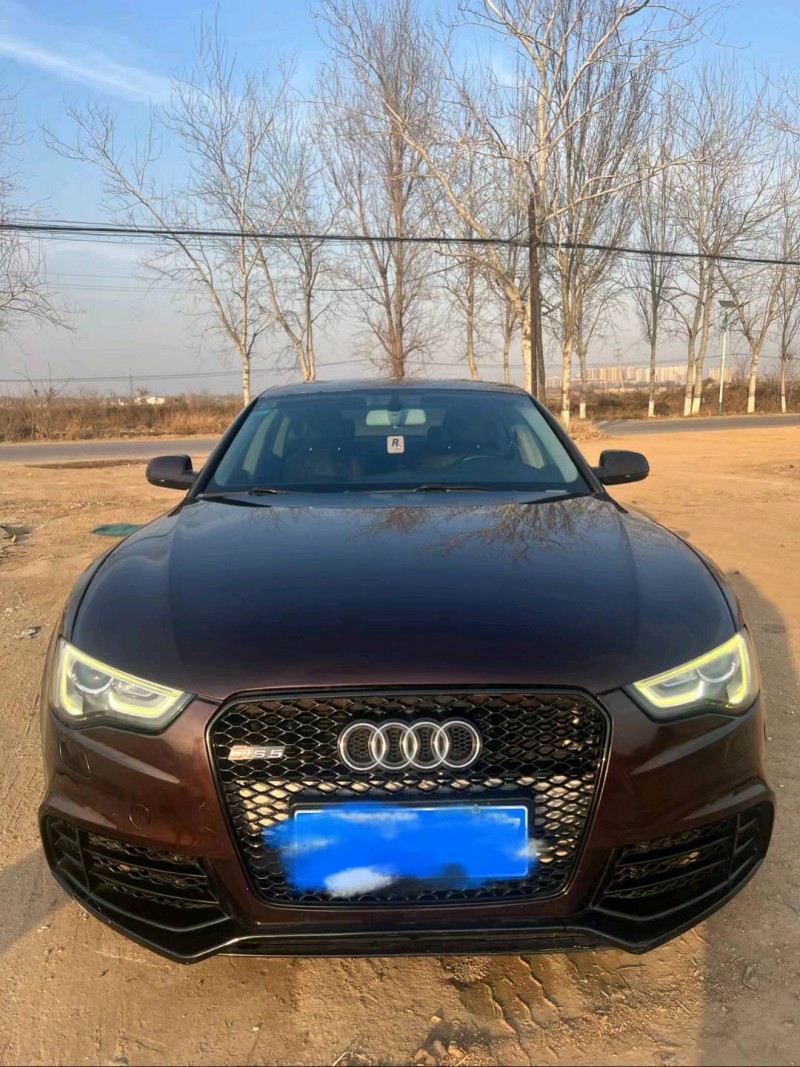 邯郸14年奥迪A59