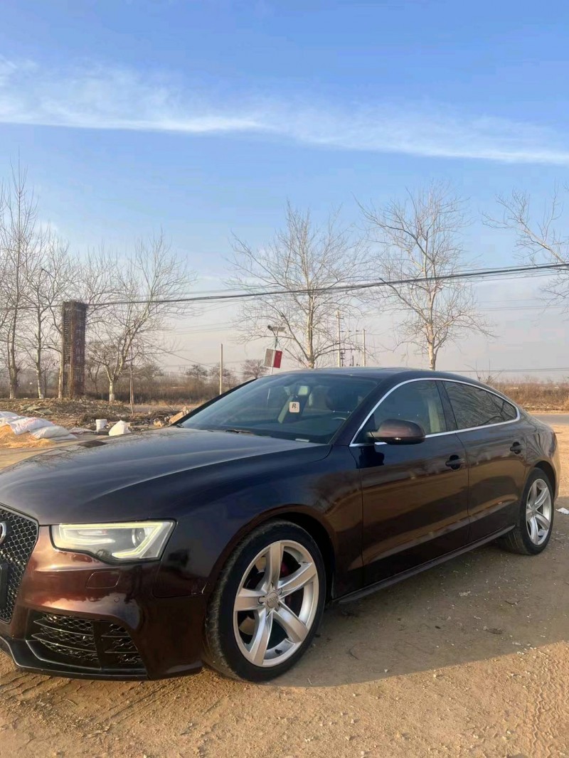 邯郸14年奥迪A57