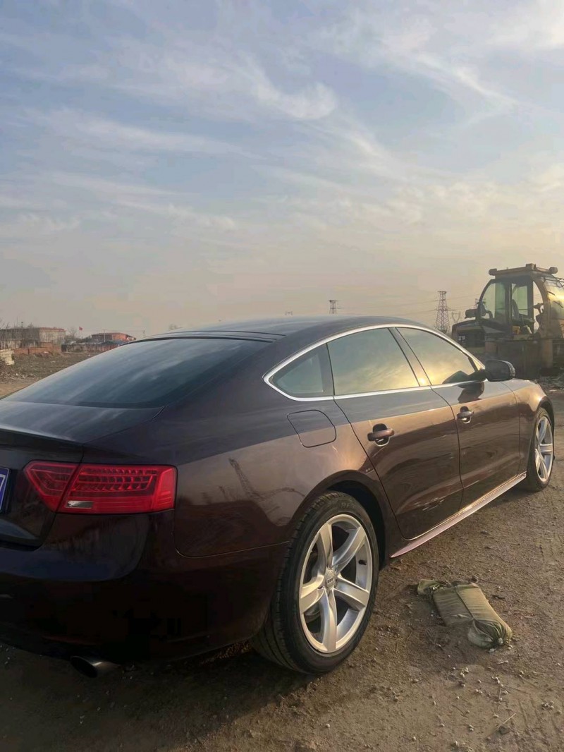 邯郸14年奥迪A52