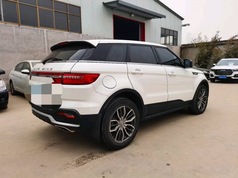 邯郸19年陆风X76