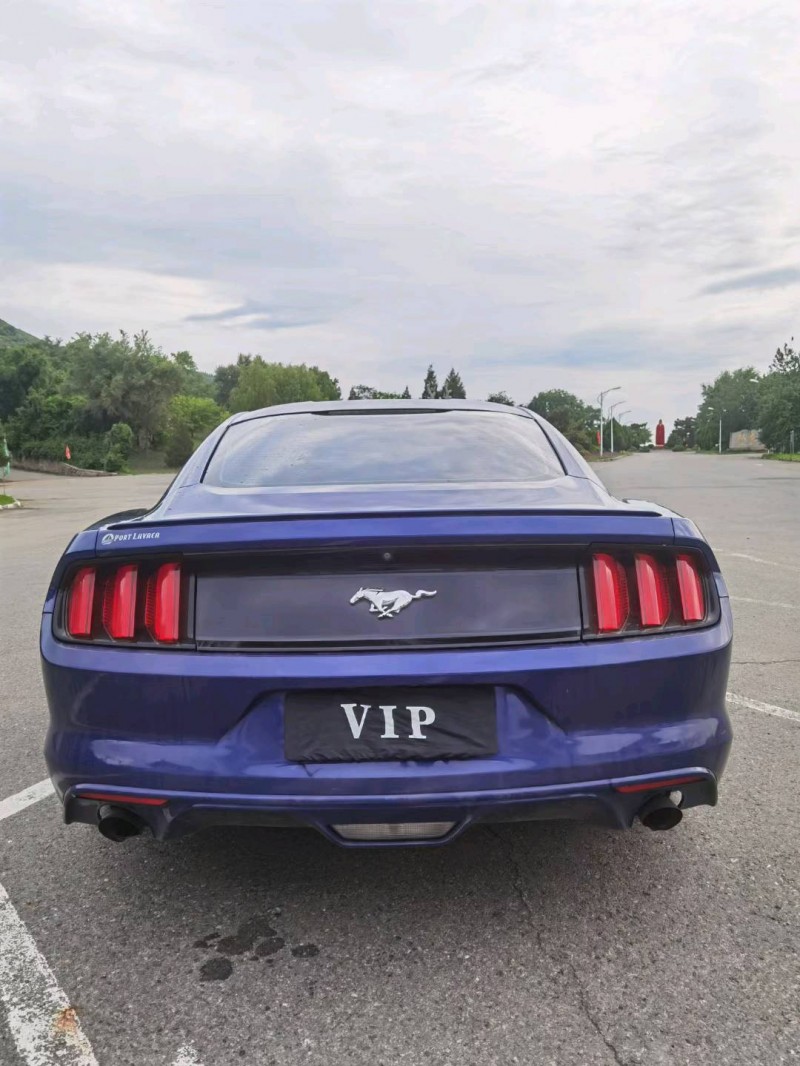 沈阳16年福特野马9