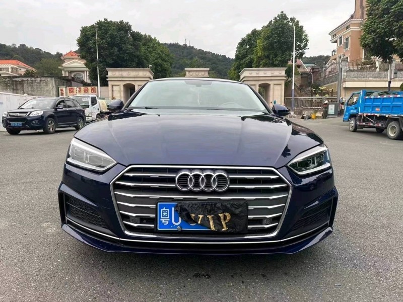 广州20年奥迪A51