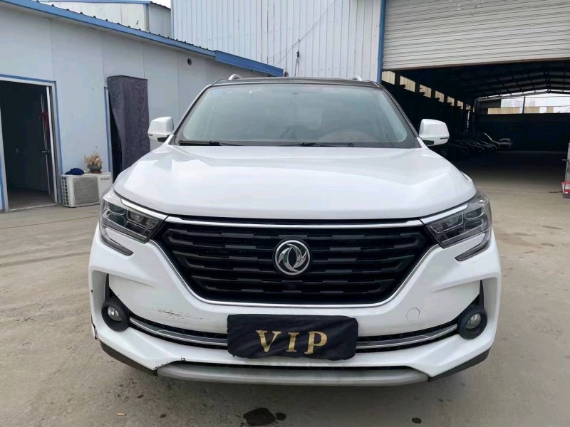 邯郸19年东风T51