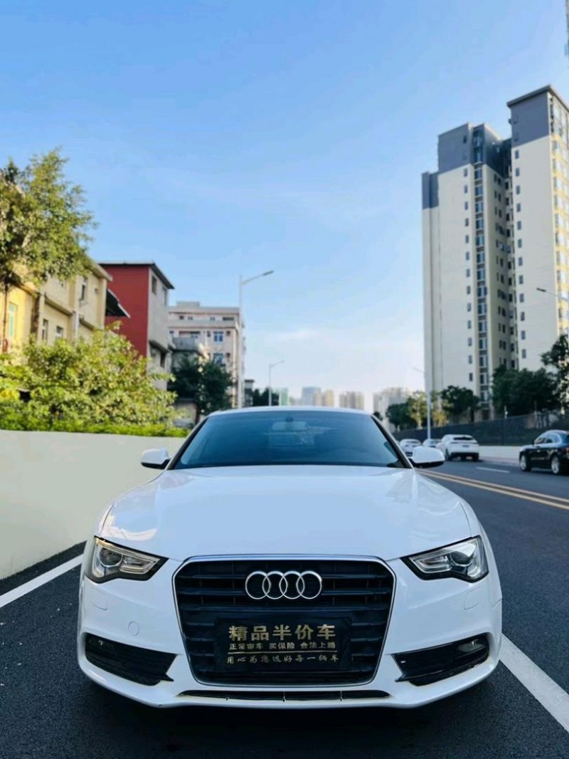 东莞12年奥迪A51