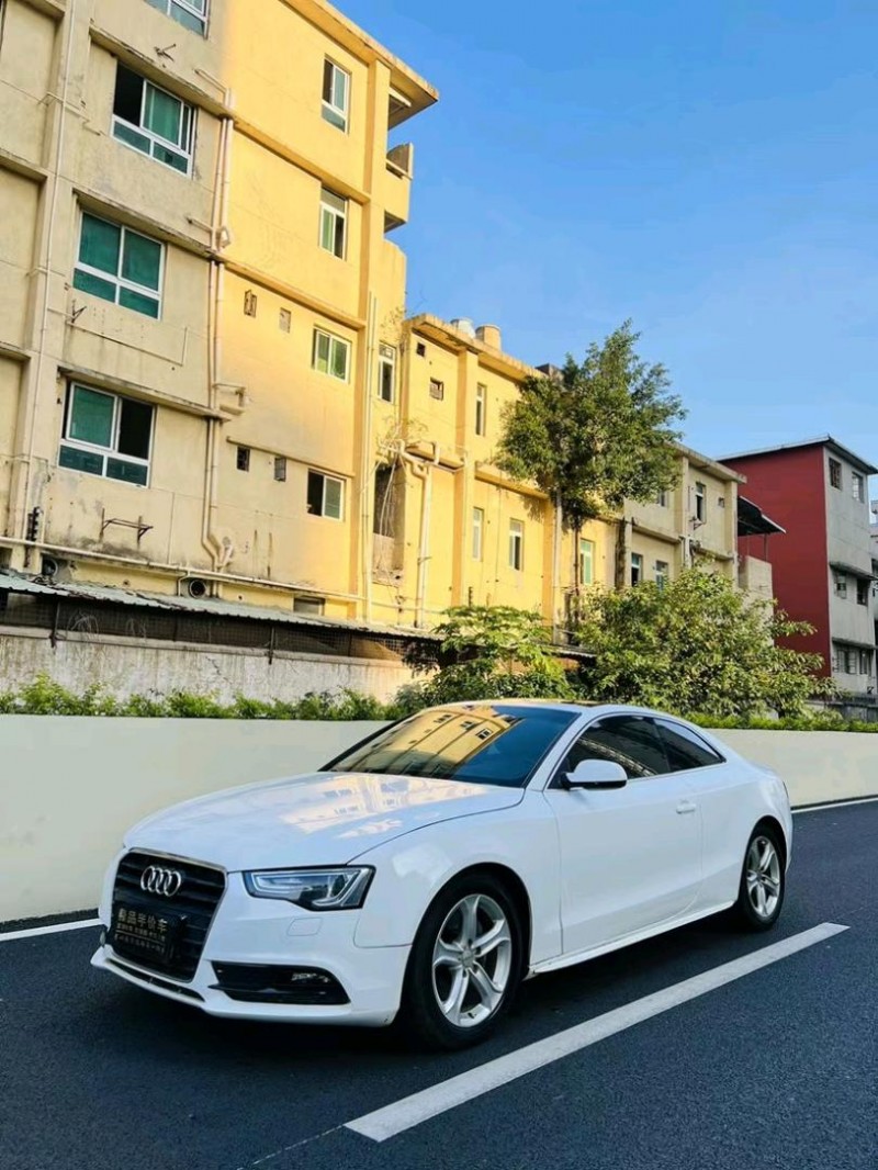 东莞12年奥迪A52