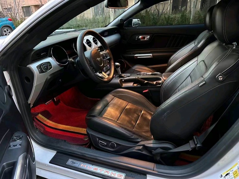 邯郸18年福特野马6