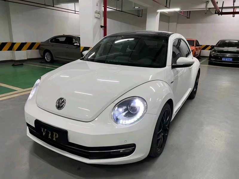 瀘州14年大眾甲殼蟲3