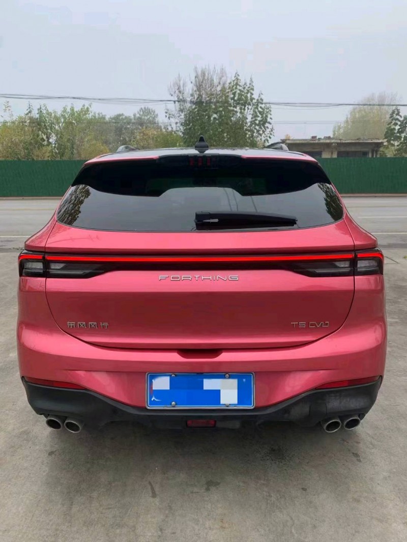 邯郸21年东风T58