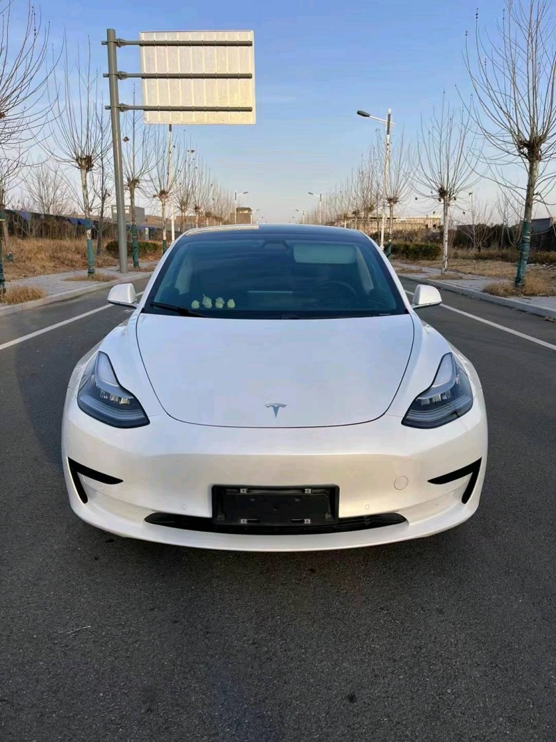 徐州20年特斯拉MODEL 39