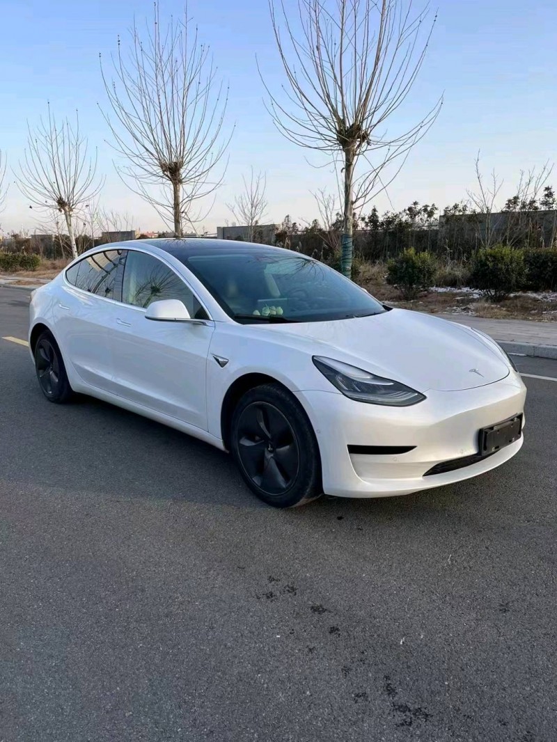 徐州20年特斯拉MODEL 38