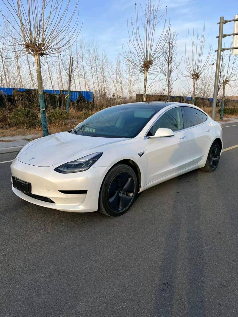 徐州20年特斯拉MODEL 37
