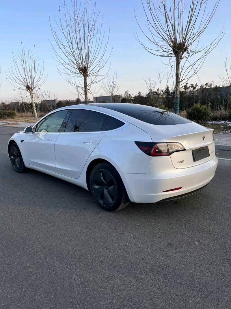 徐州20年特斯拉MODEL 36