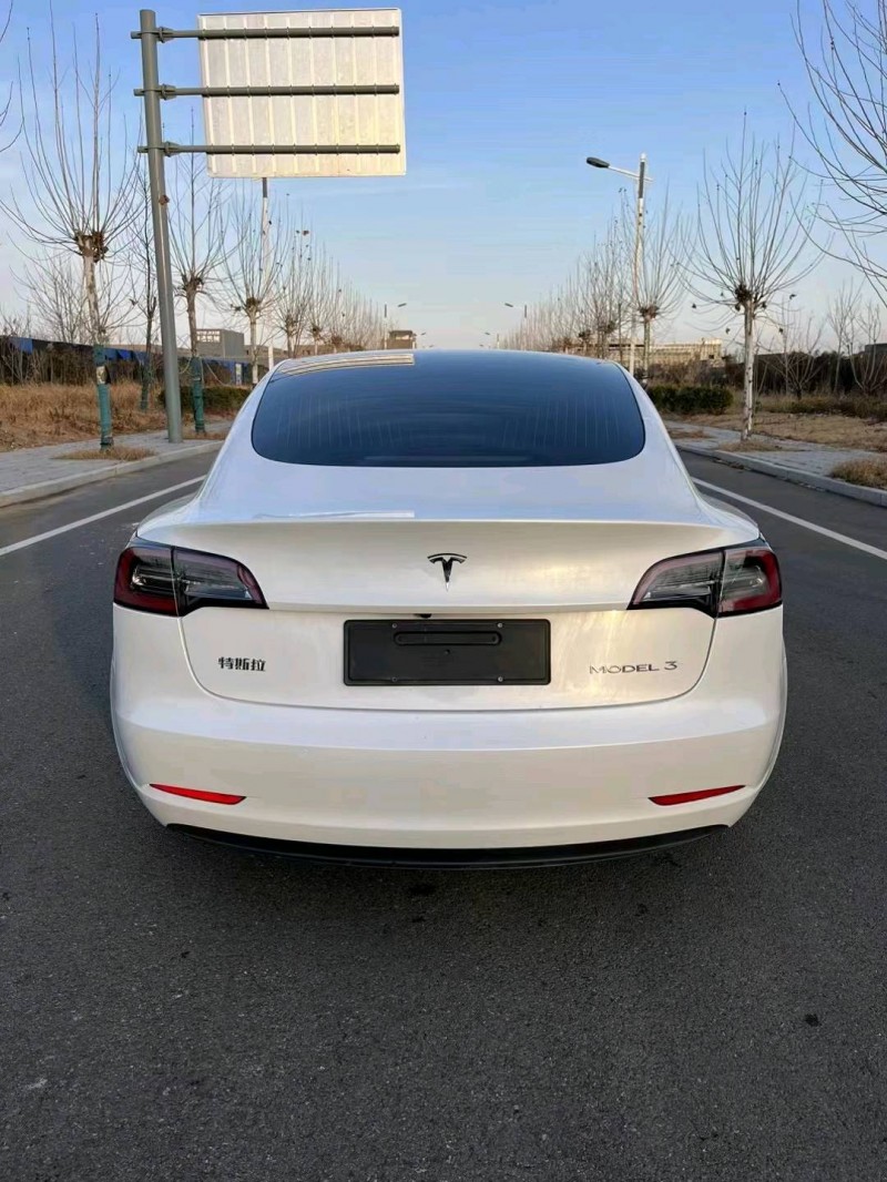 徐州20年特斯拉MODEL 31