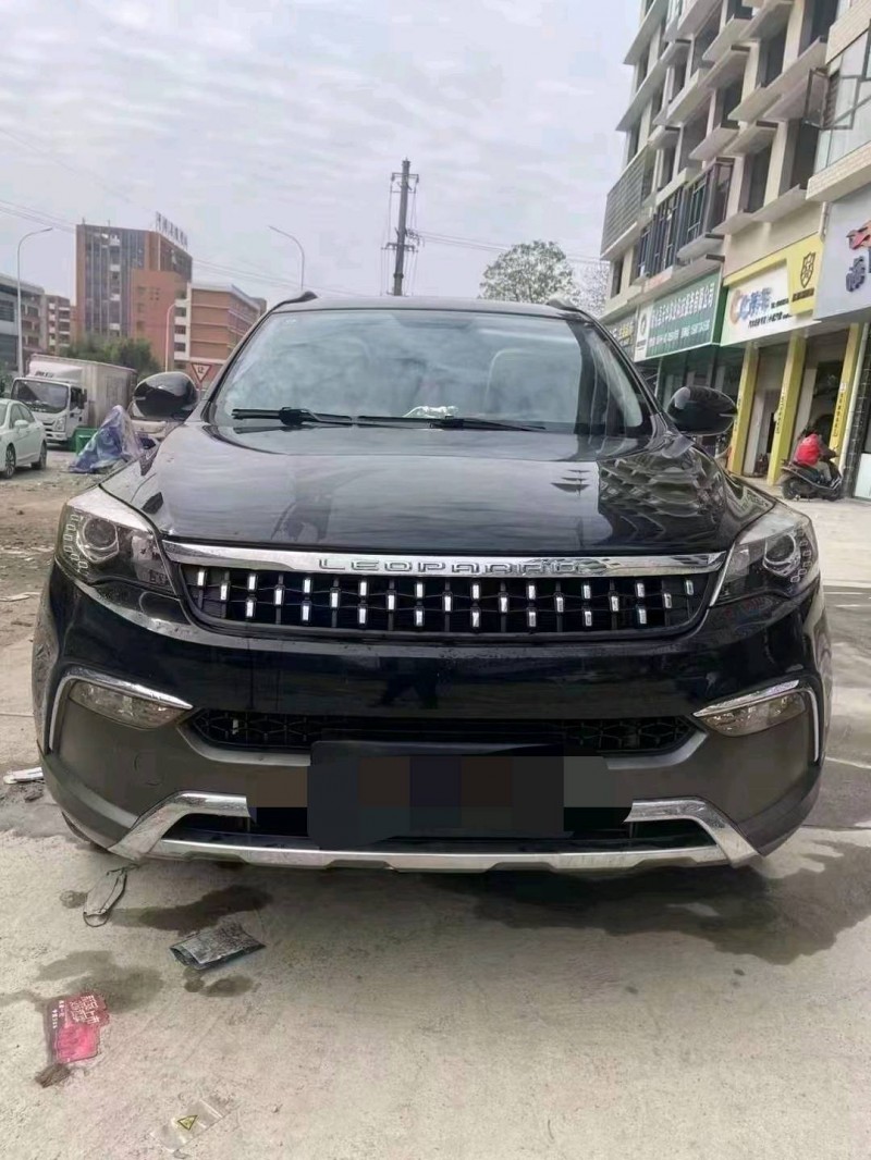 衡陽20年獵豹汽車CS101