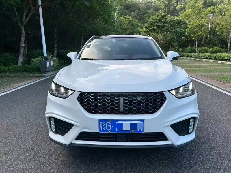 广州19年WEYVV51