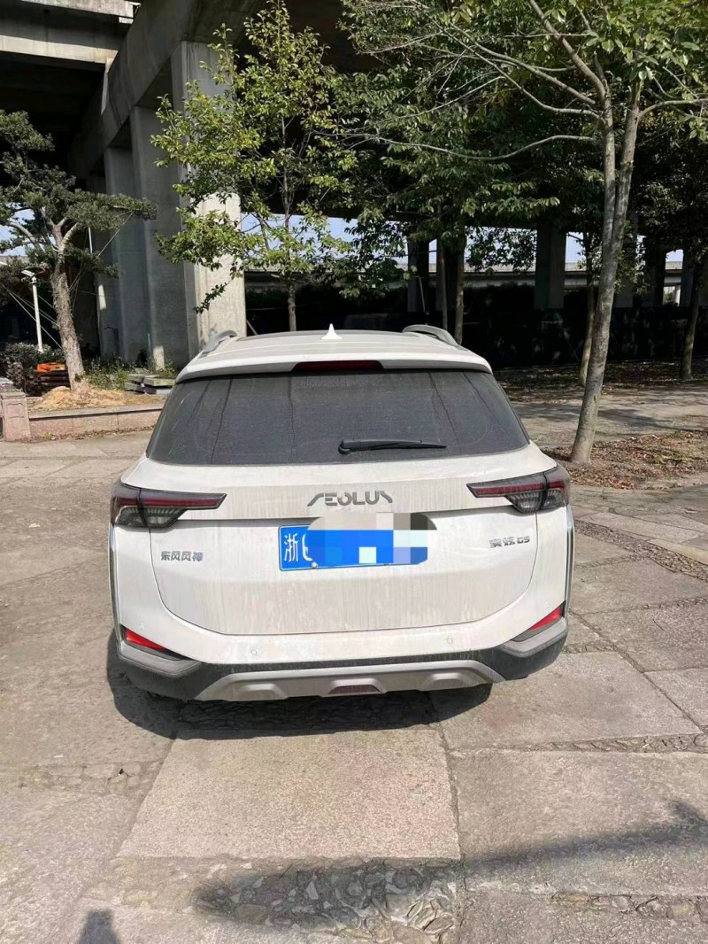 嘉兴22年东风奕炫1