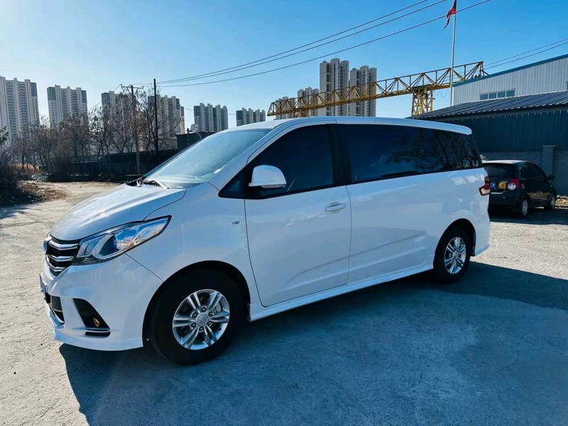 沈阳21年大通G102