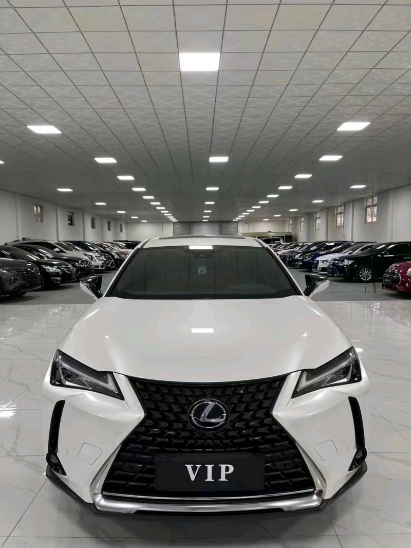 廊坊21年雷克萨斯UX9