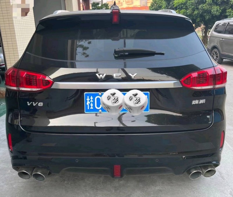 广州20年长城汽车WEY VV64