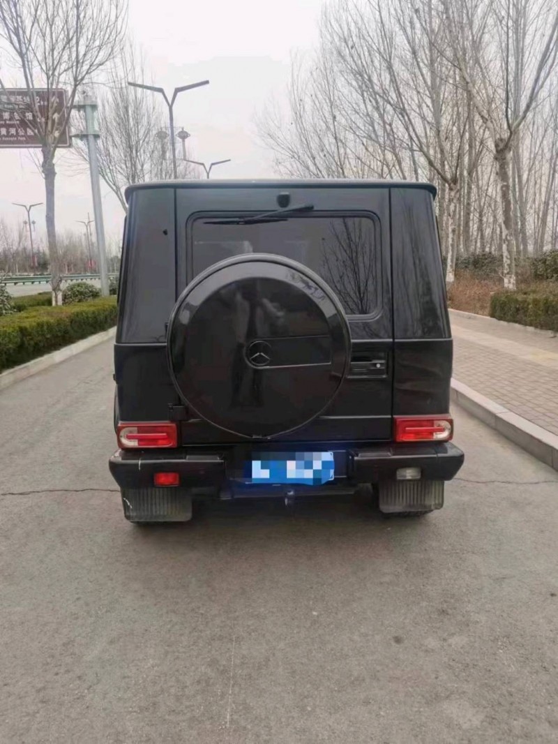 潍坊14年奔驰G9