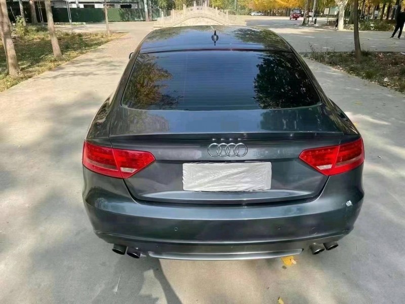 北京11年奥迪S54