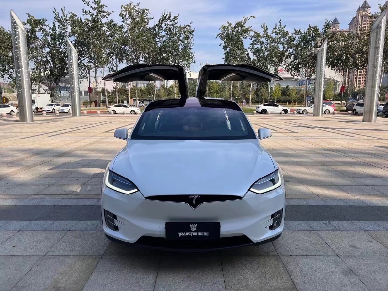 棗莊18年特斯拉MODEL X1