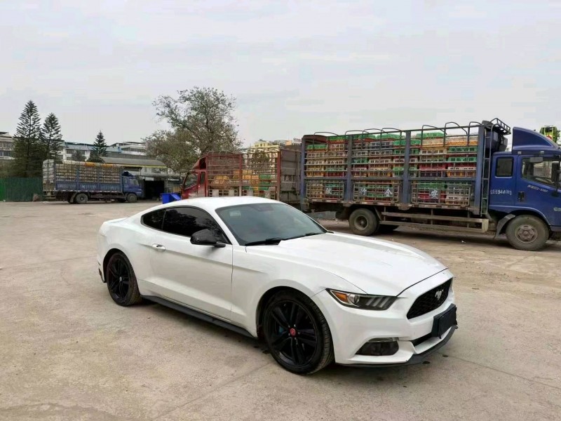 梧州16年福特野马4