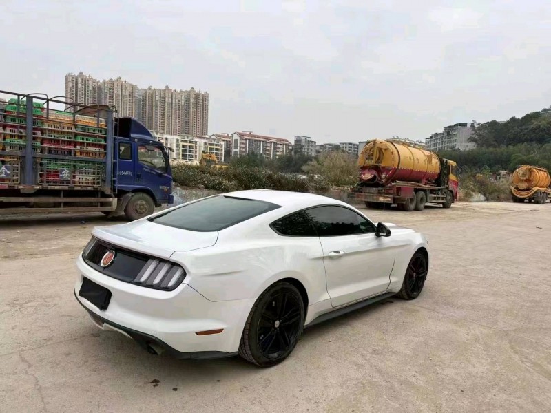 梧州16年福特野马5