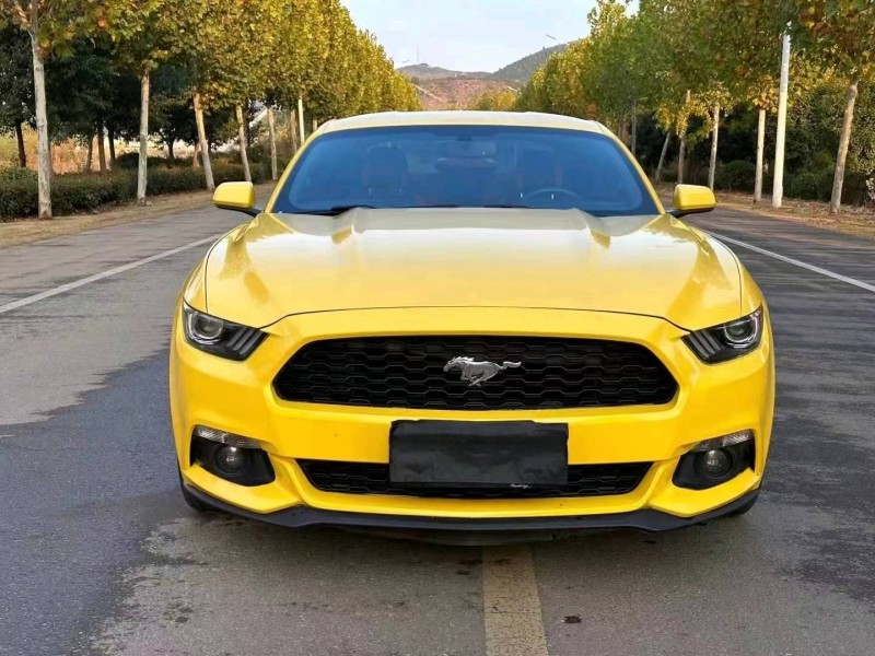 徐州15年福特野马9