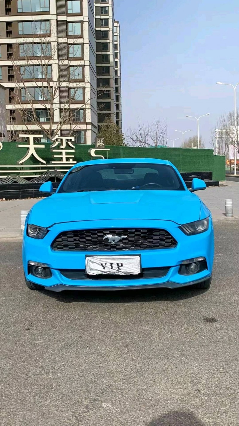 廊坊16年福特野马1