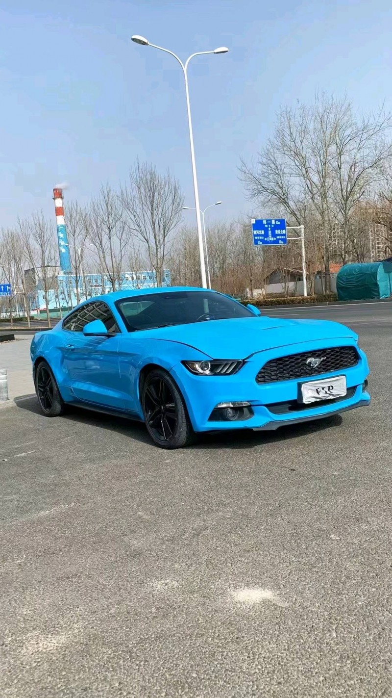 廊坊16年福特野马3