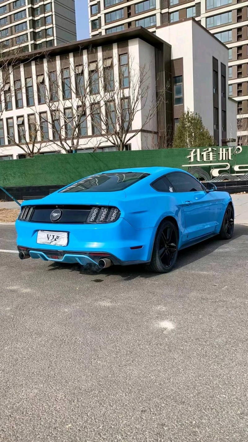 廊坊16年福特野马8