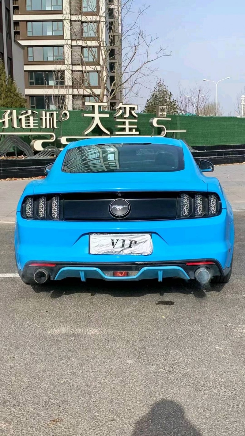 廊坊16年福特野马9