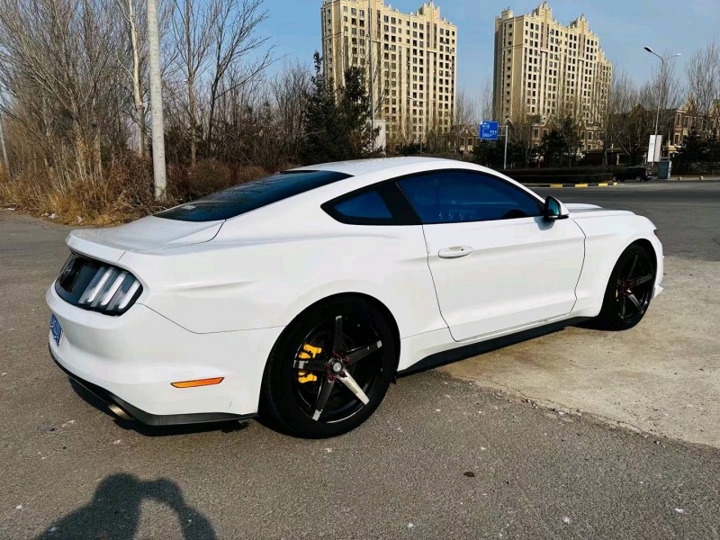 沈阳15年福特野马9