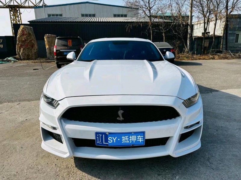 沈阳15年福特野马1