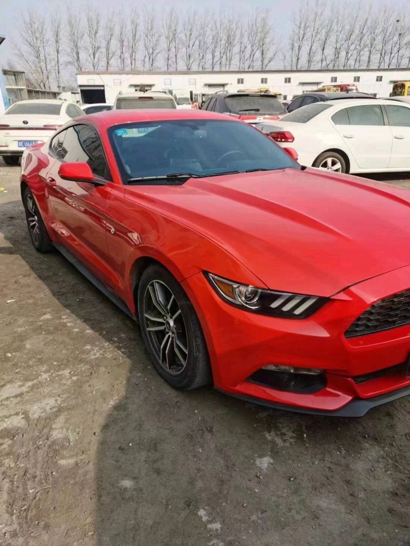 枣庄18年福特野马2