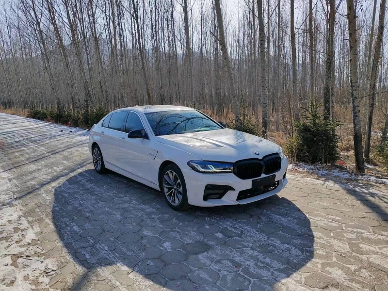 邯郸11年宝马5系3