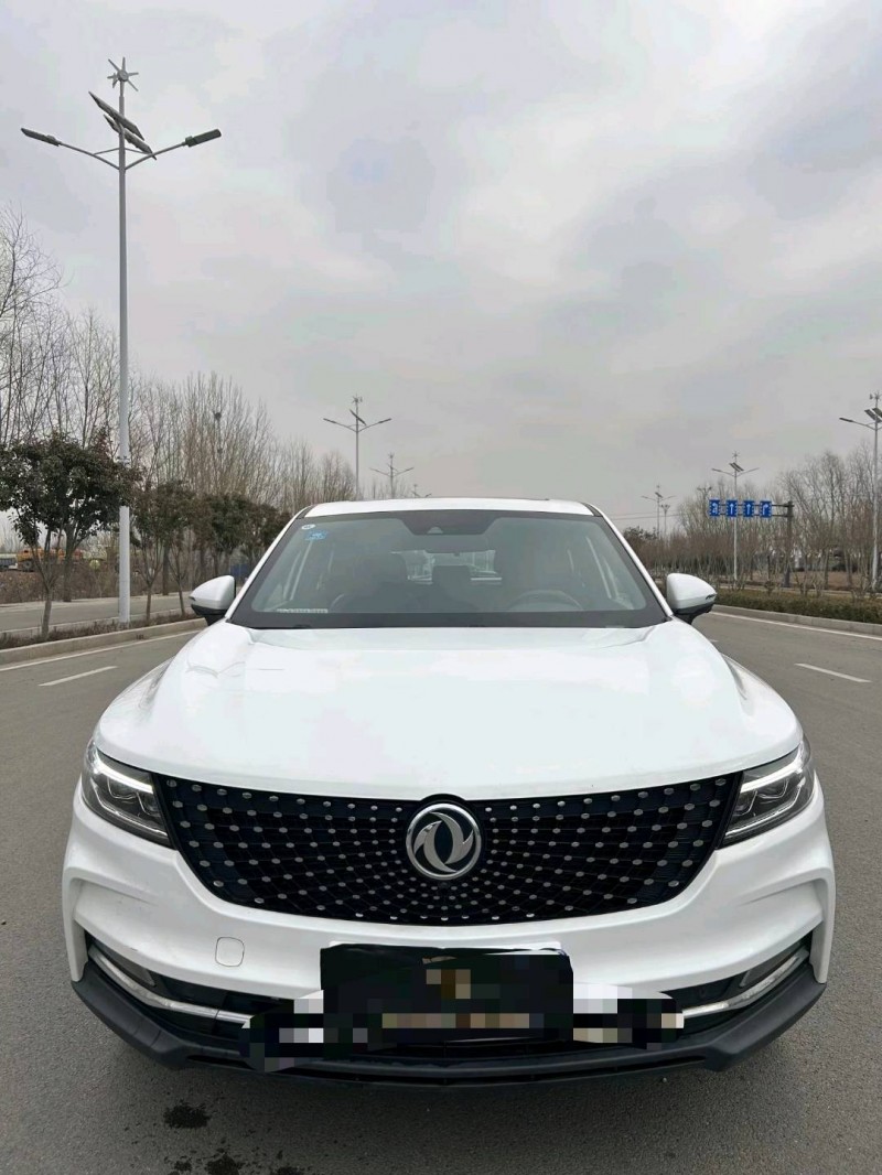 枣庄20年东风风光1