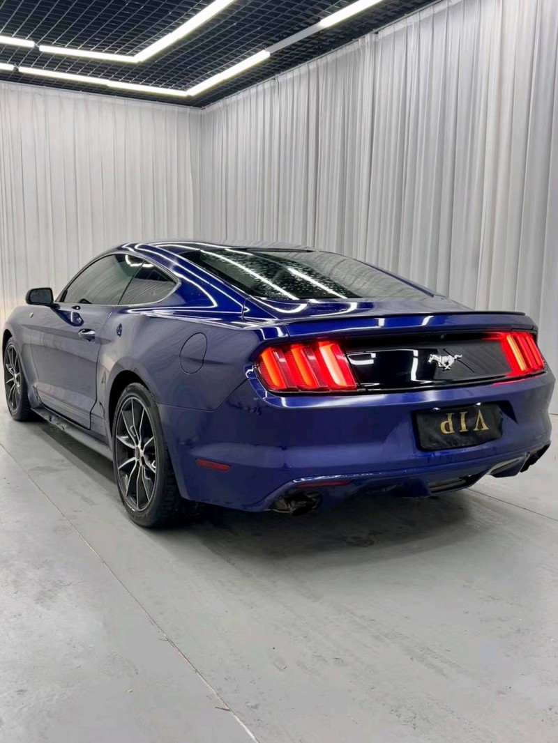 临沂15年福特野马9