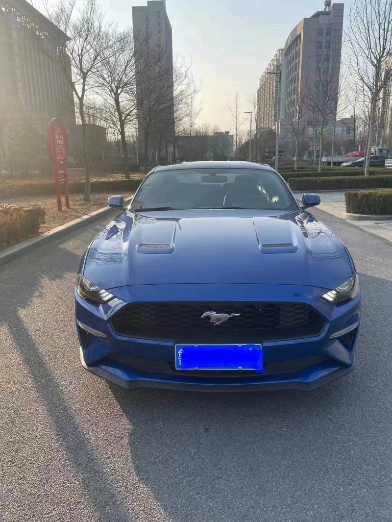 济南18年福特野马1