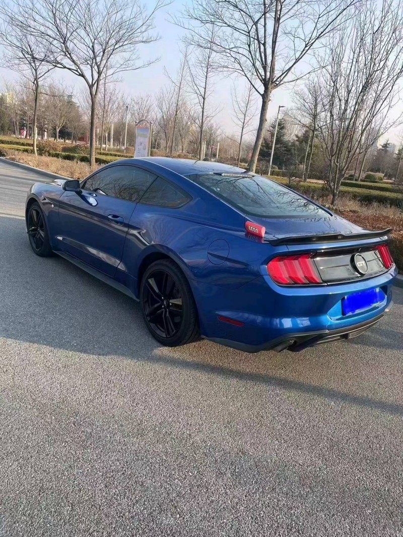 济南18年福特野马6