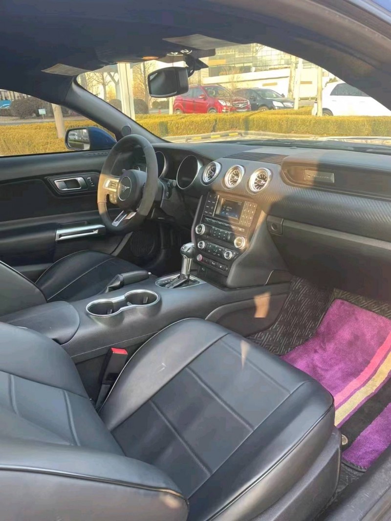 枣庄18年福特野马4