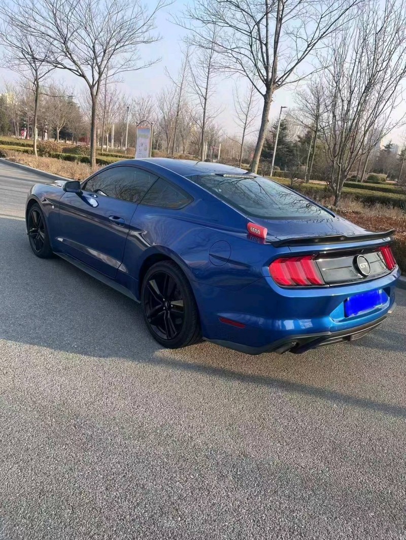 枣庄18年福特野马5