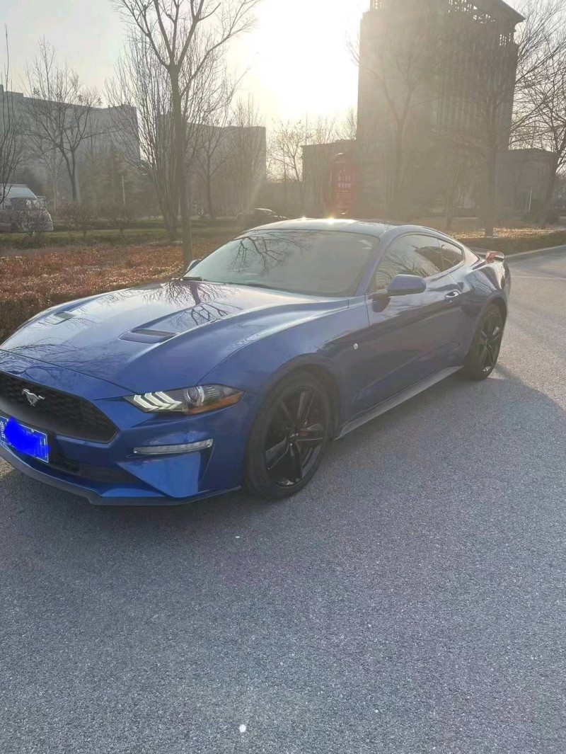 枣庄18年福特野马7