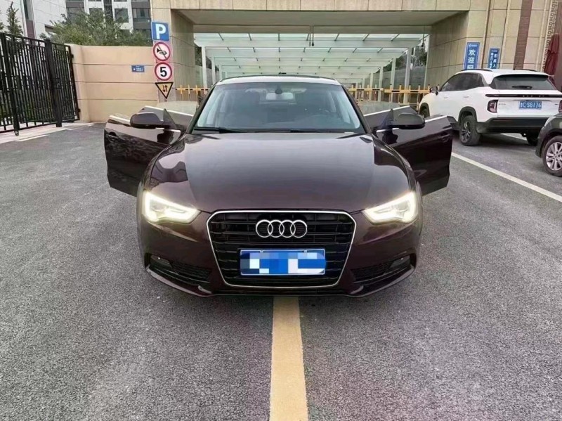 邯郸14年奥迪A59