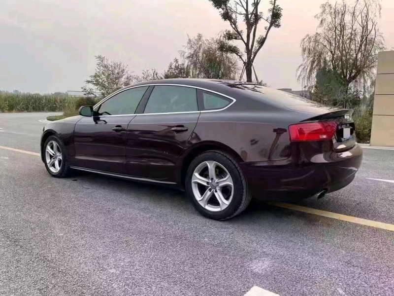 邯郸14年奥迪A51