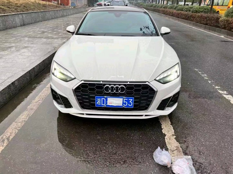 衡陽21年奧迪A51